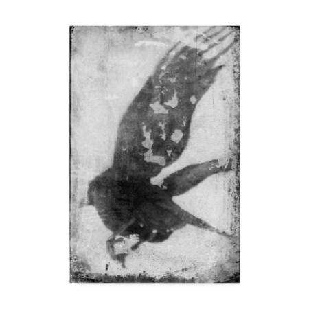 Trademark Fine Art Ingrid Blixt 'B&W Flight Iv' Canvas Art, 12x19 WAG08808-C1219GG